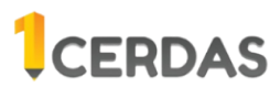 Logo 1Cerdas